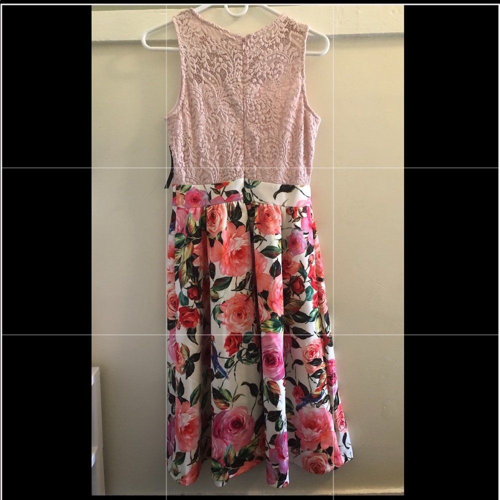 New York & Company Fit & Flare Pink Lace Floral Dress Size Small NWT